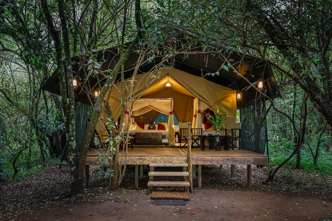 Soroi Mara Bush Camp — Masai Mara National Reserve