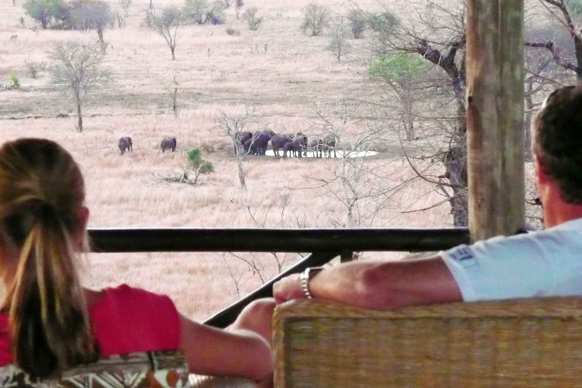 Stanley's Kopje Camp — Mikumi National Park