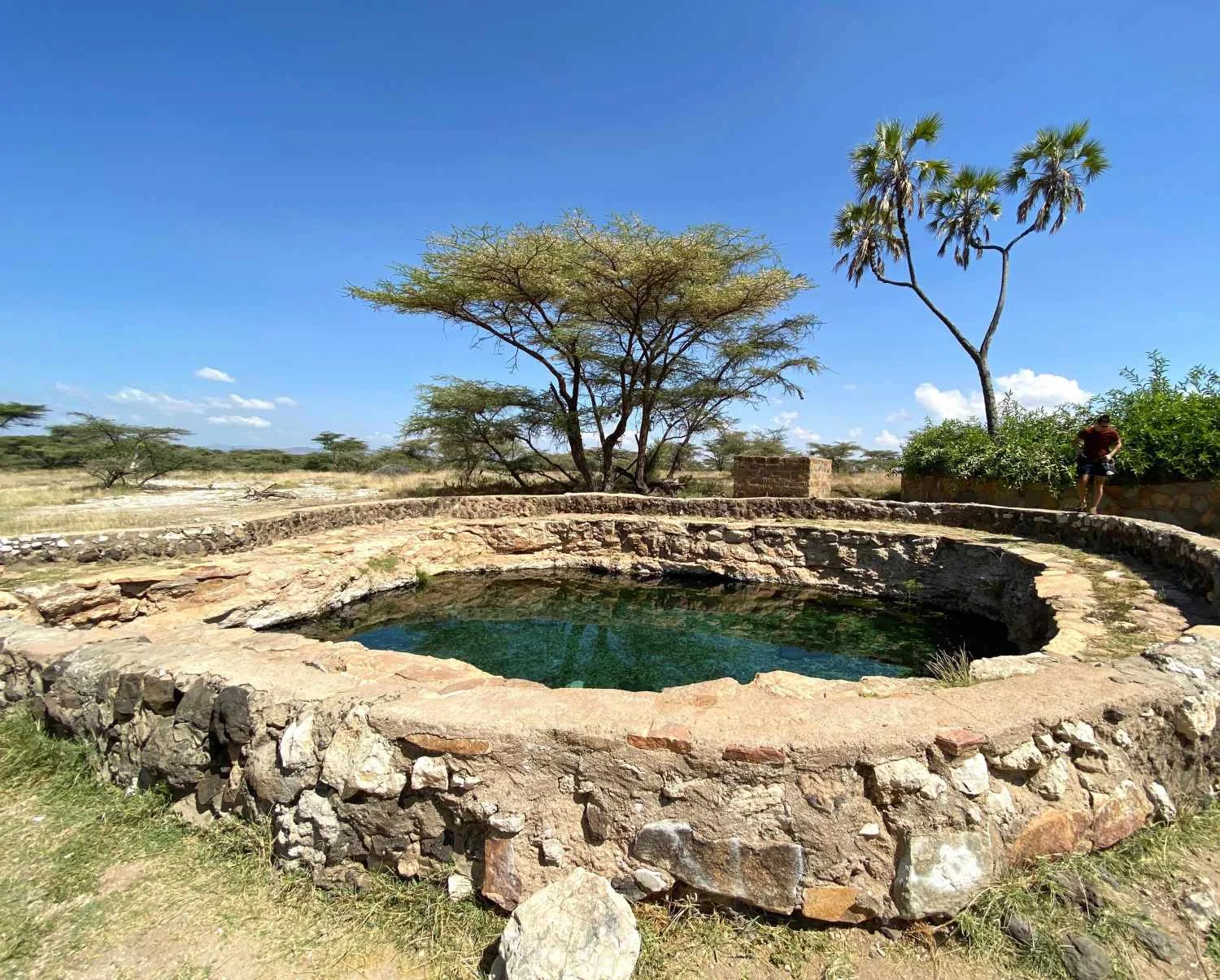 Surana Buffalo Springs — image 3