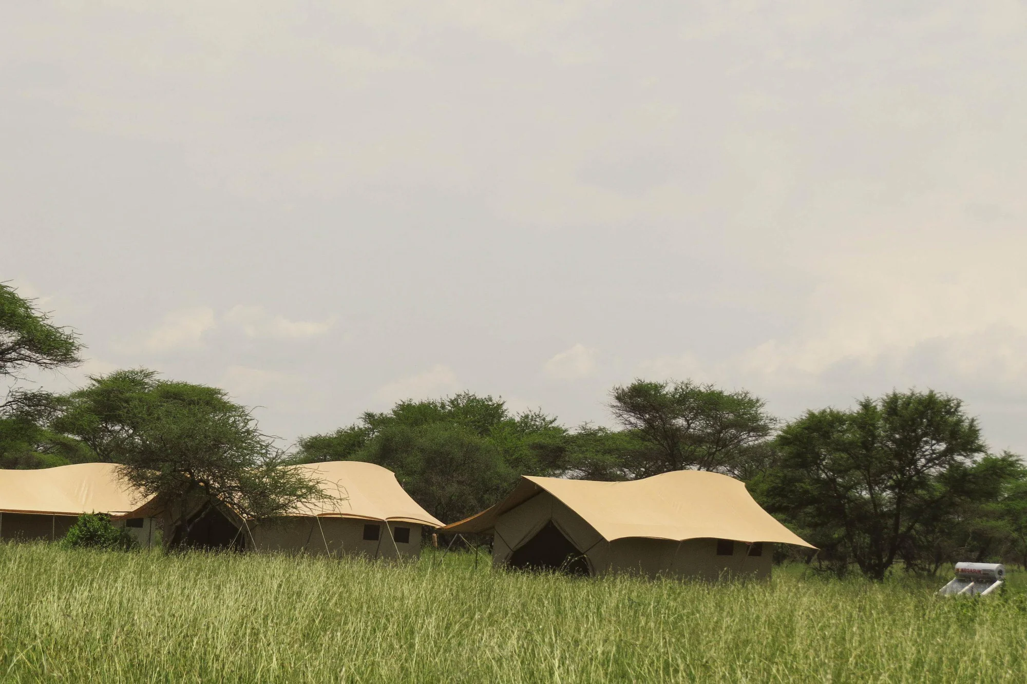 TAASA Kogatende Migration Tented Camp — image 3