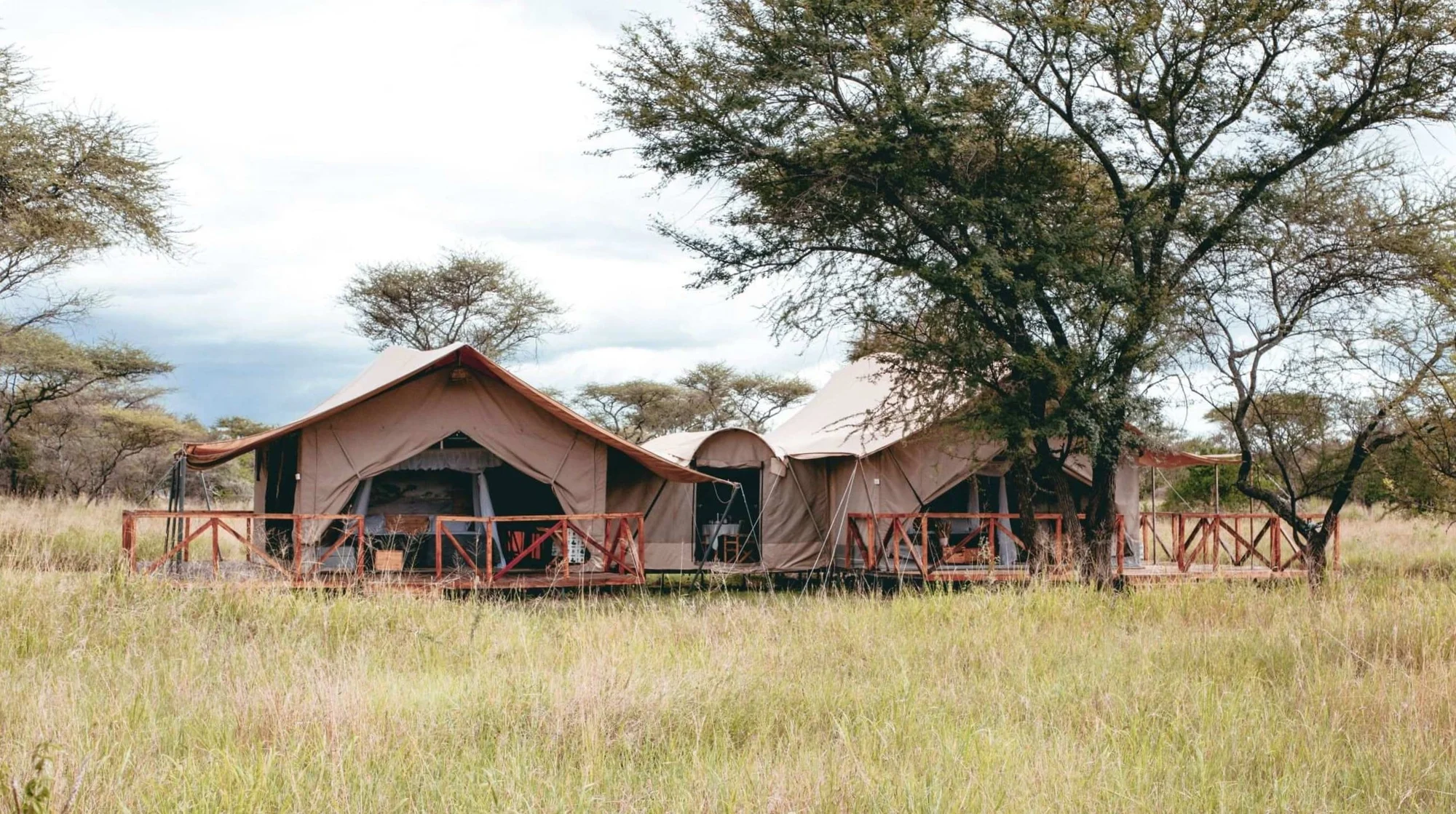 TAASA Ndutu Migration Tented Camp — image 4