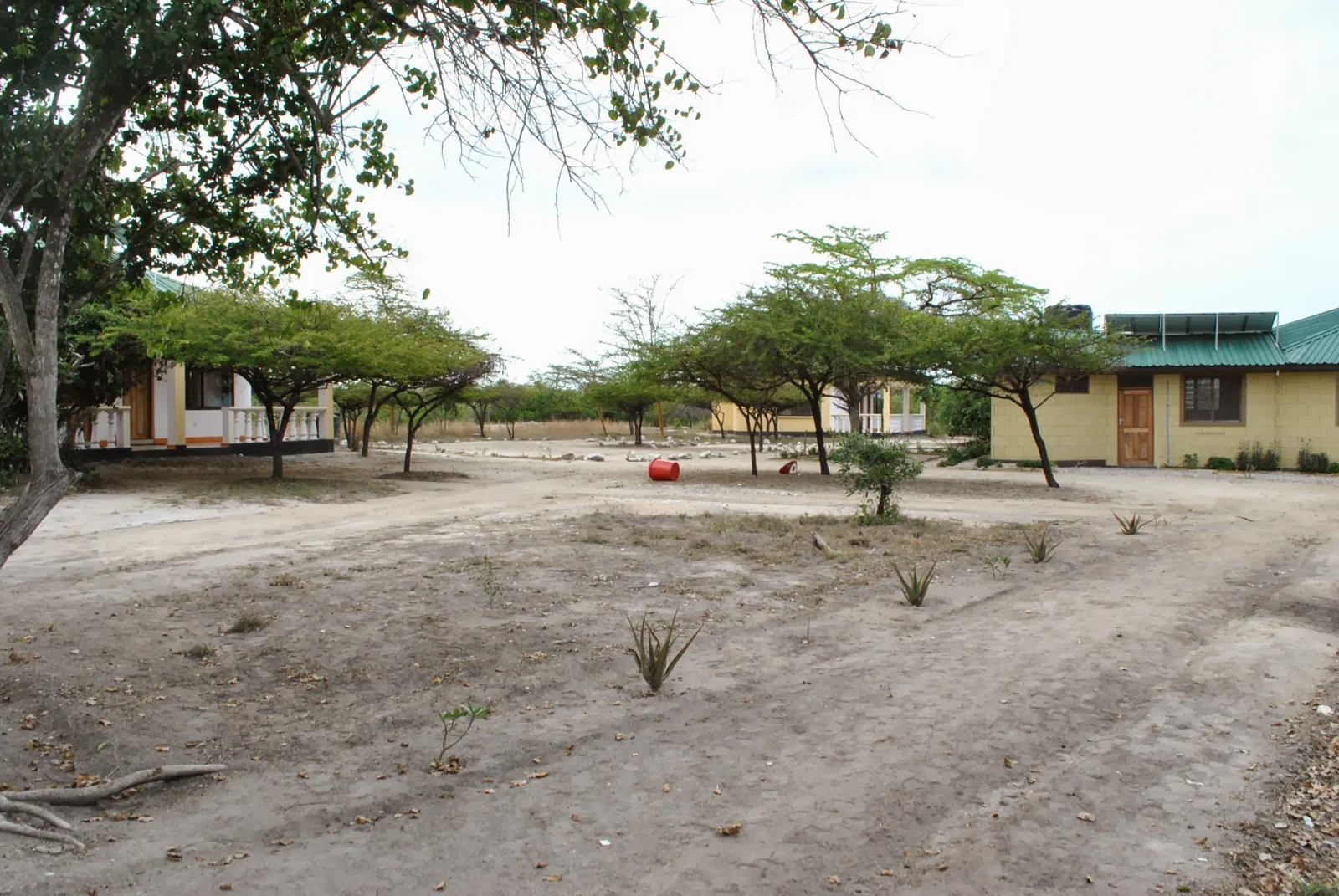 TANAPA Saadani Bandas — image 4