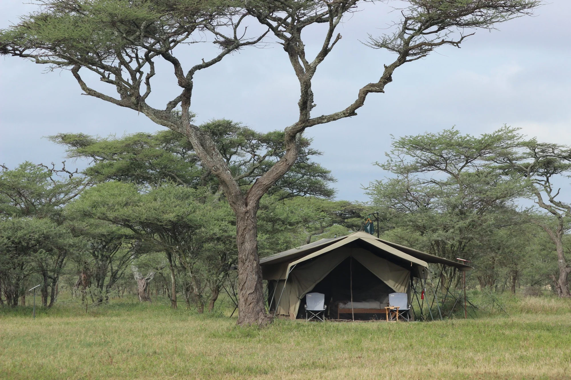 Tanzania Bush Camps Ndutu — image 2