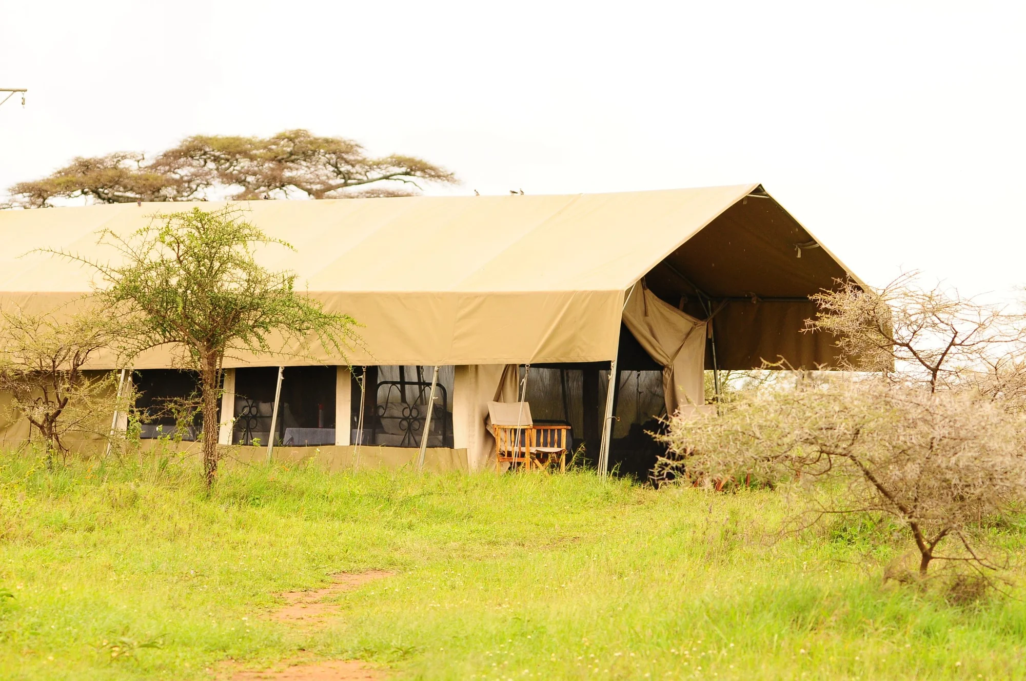 Tanzania Bush Camps Ndutu — image 3