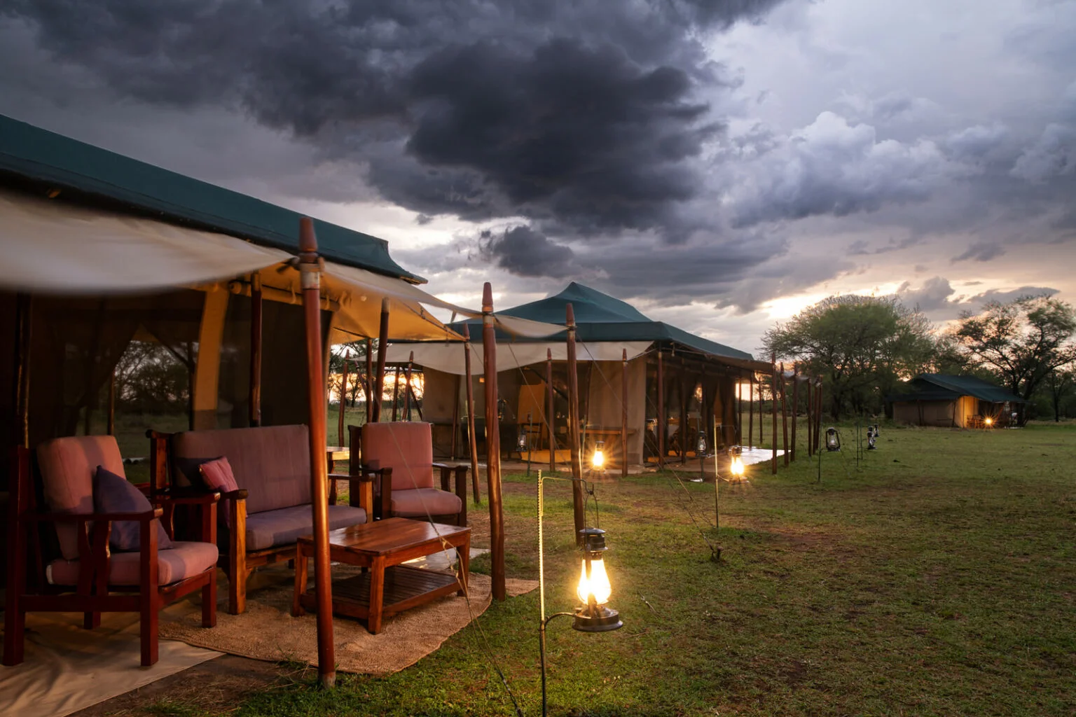 Tanzania Bush Camps Ndutu — image 4