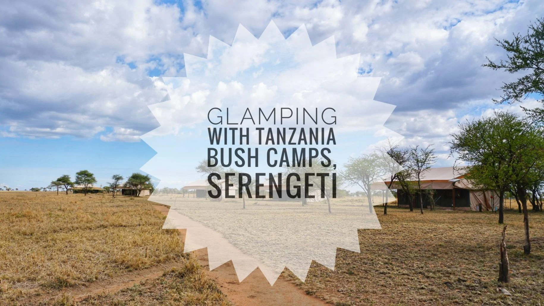 Tanzania Bush Camps — image 3