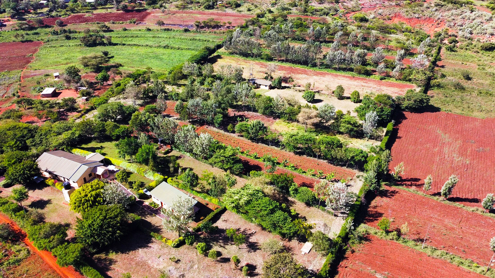 Tanzanice Farm Lodge — image 2