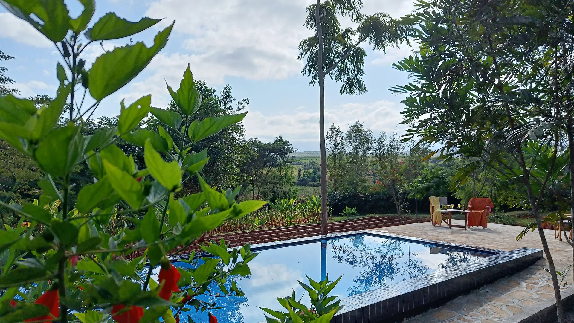 Tanzanice Farm Lodge — image 4
