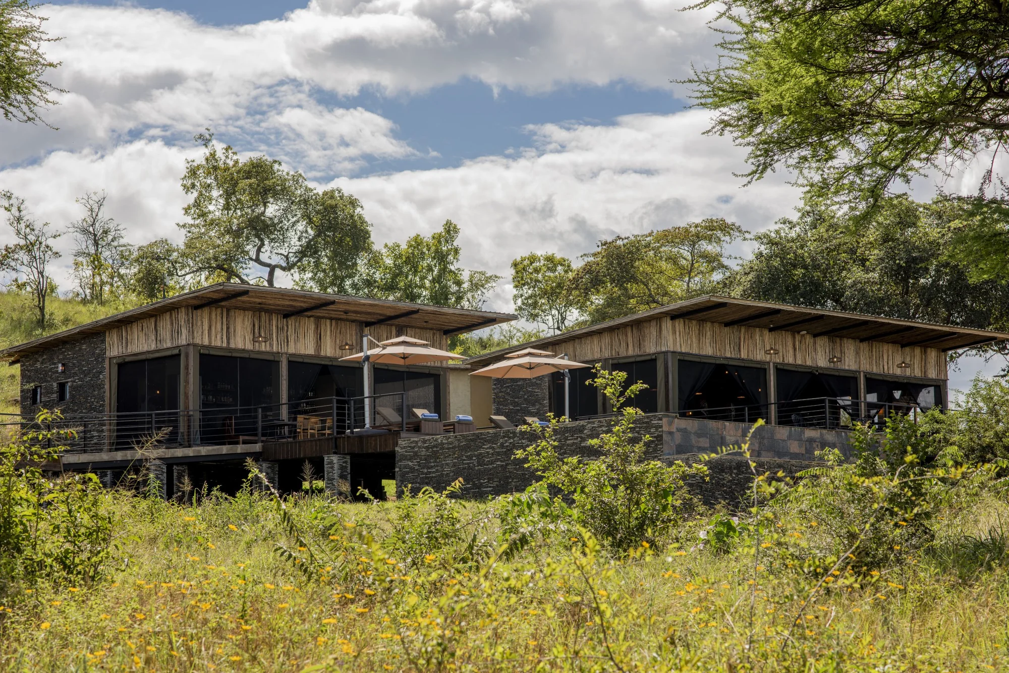 Tarangire Elephant Springs Camp — image 2
