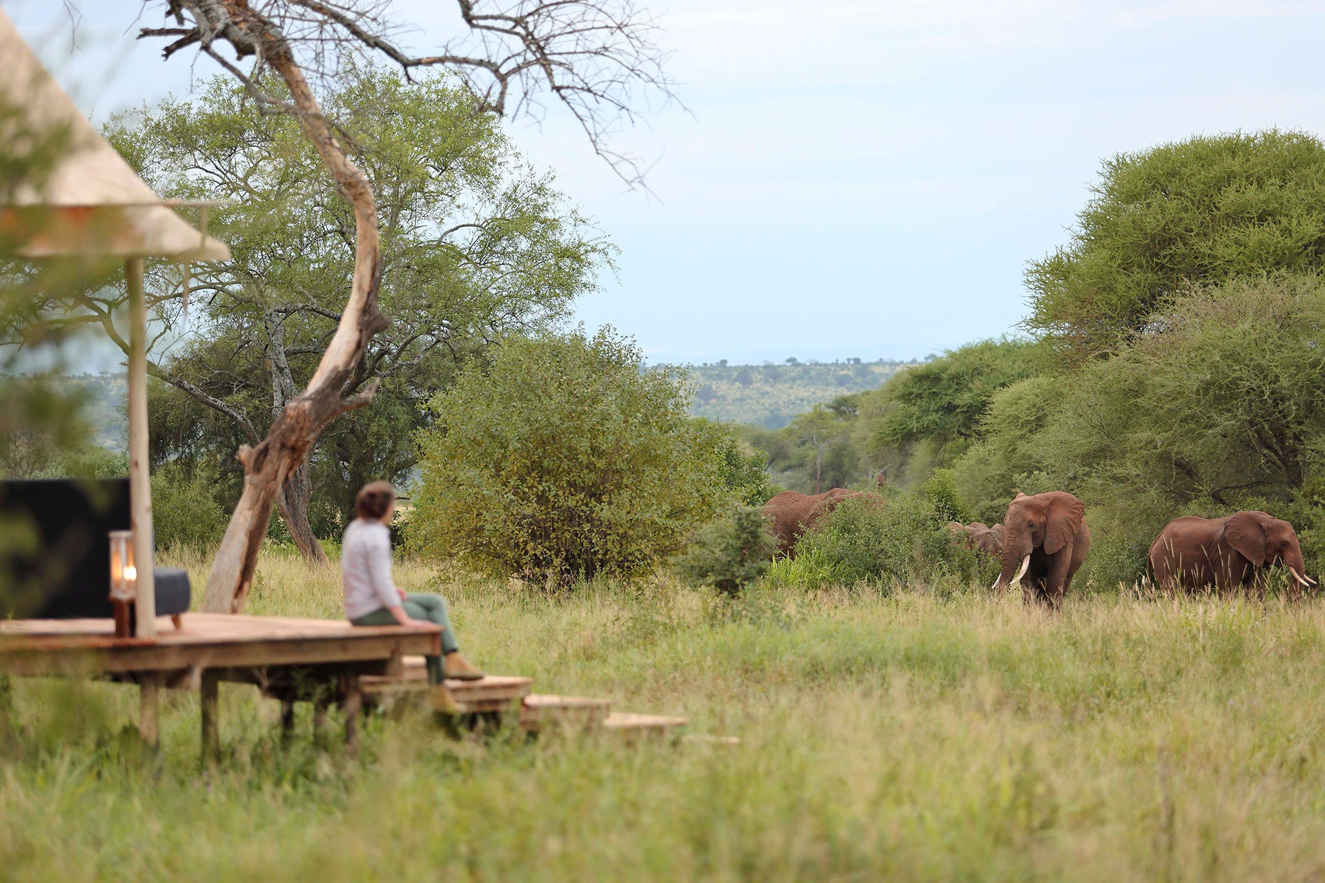 Tarangire Ndovu Tented Lodge — Tarangire National Park