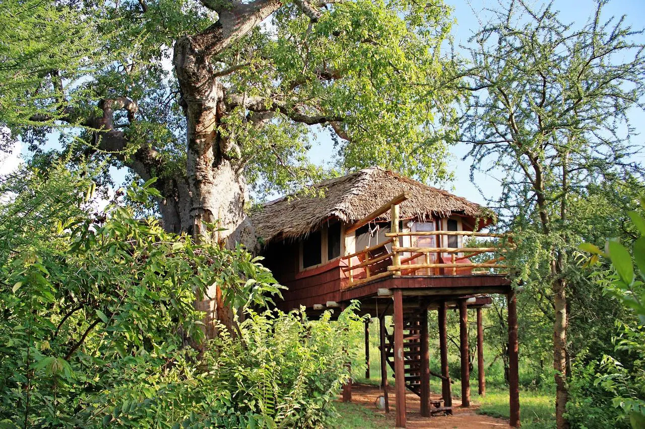Elewana Tarangire Treetops