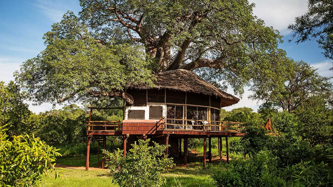 Elewana Tarangire Treetops — image 2
