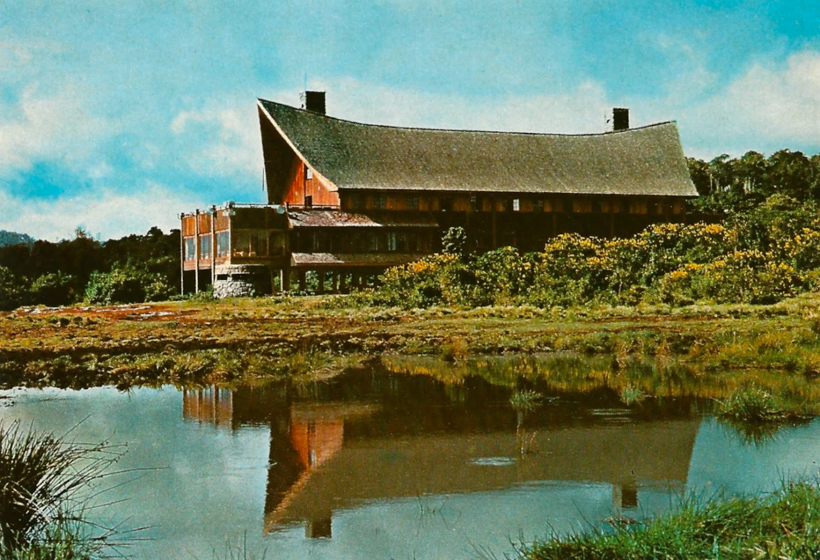 The Ark — image 4