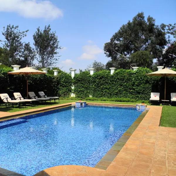 The Manor at Ngorongoro — image 2