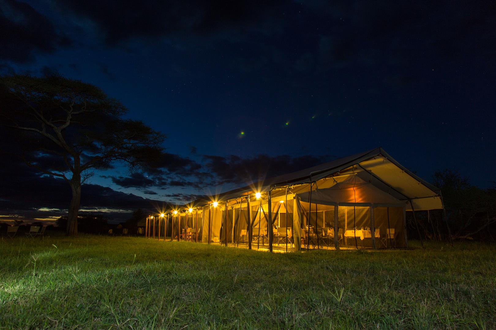 Thorntree Camp