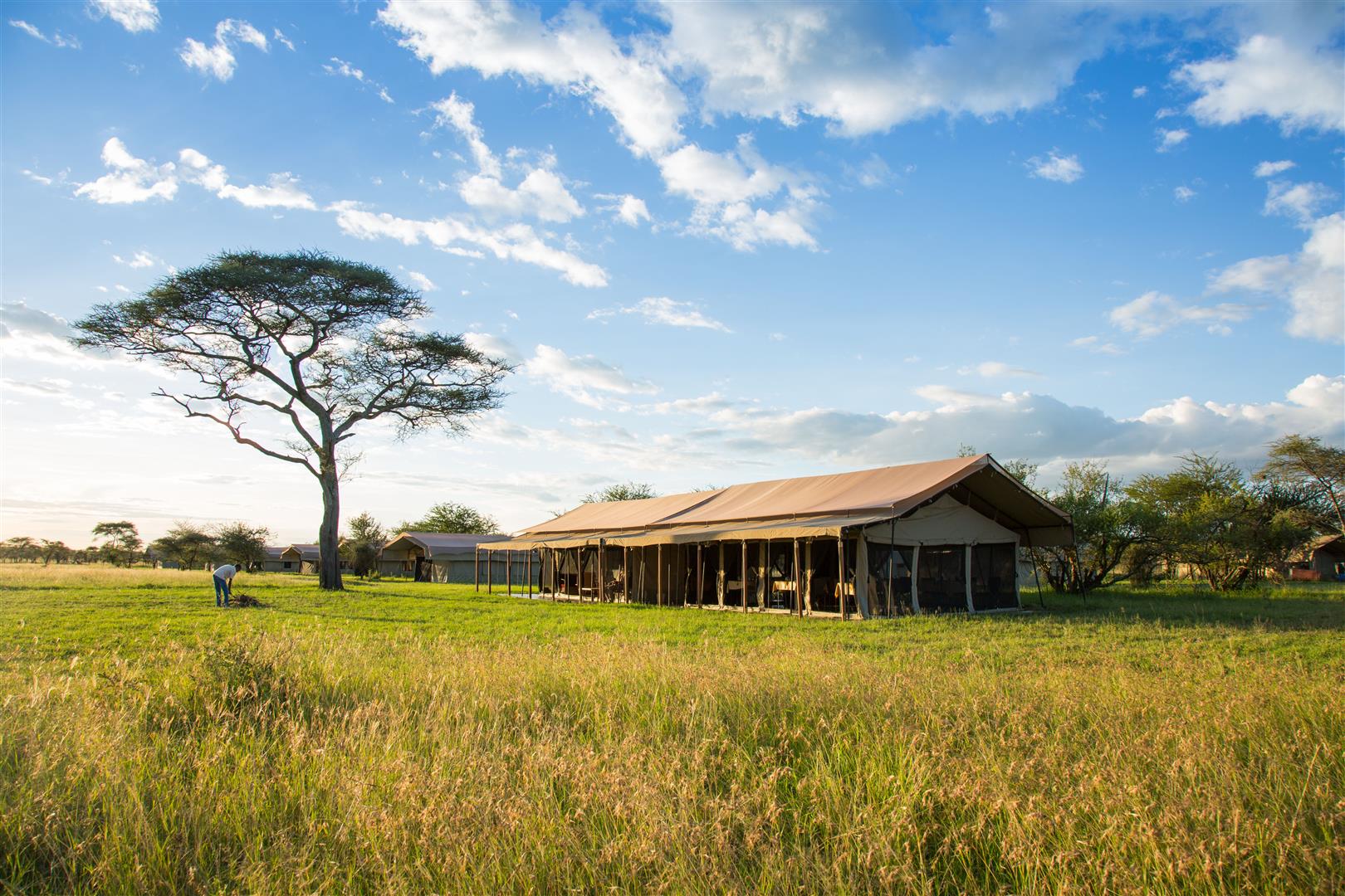 Thorntree Camp — image 3