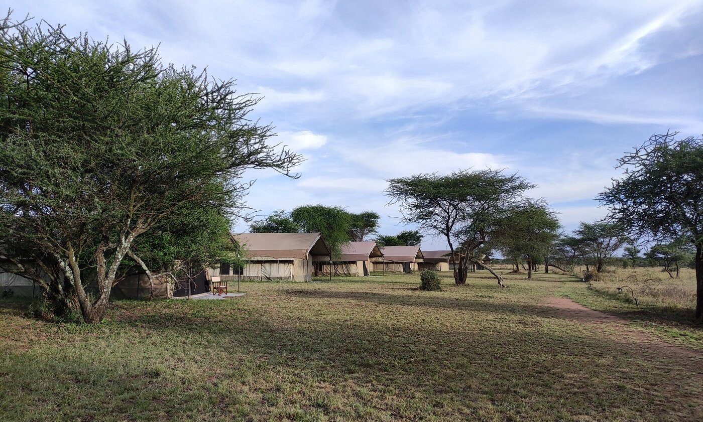 Thorntree Camp — image 4