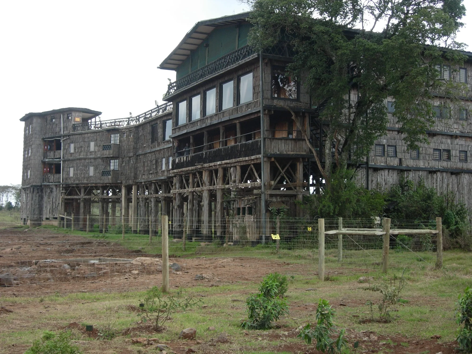 Treetops Lodge — image 2