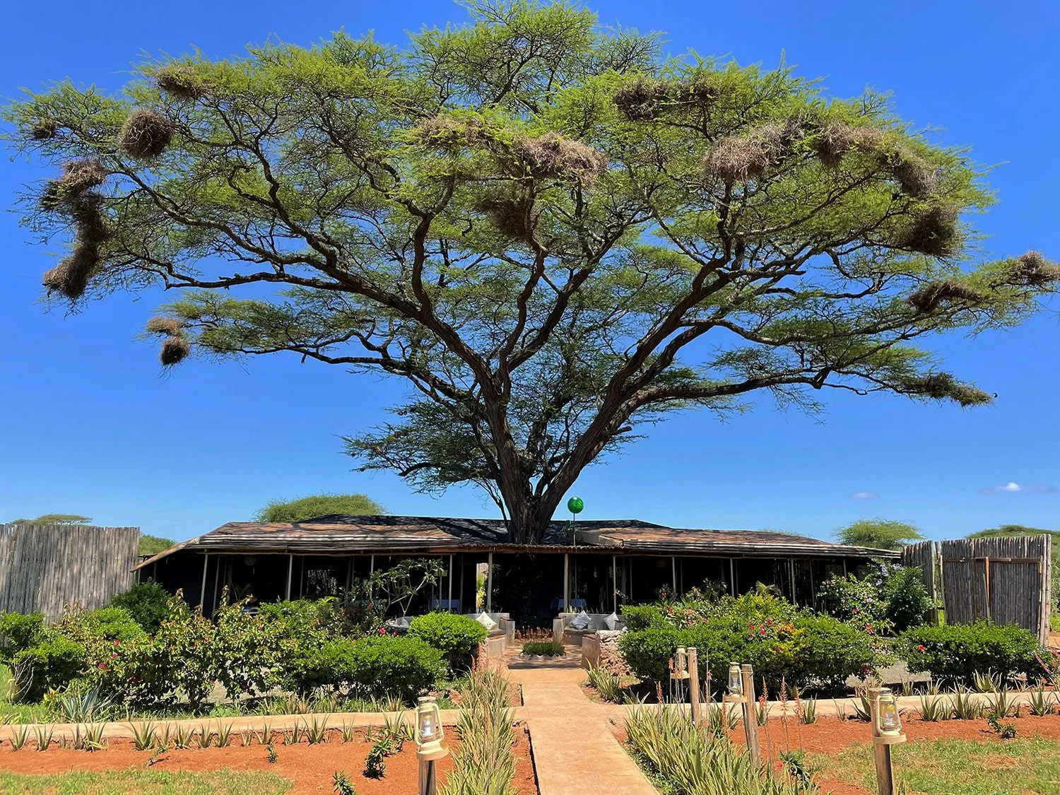 Tulia Amboseli Safari Camp — image 2