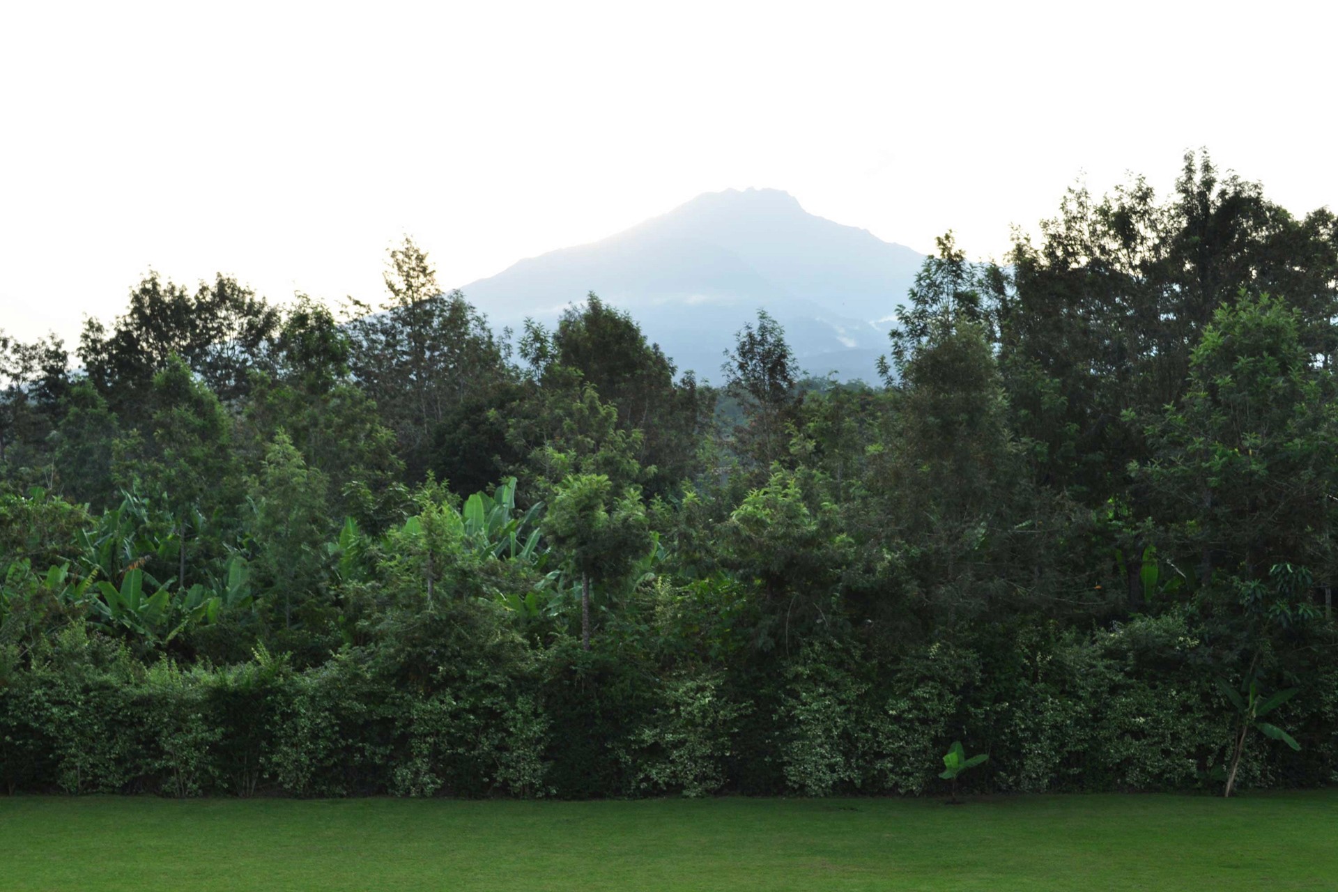 Twiga Lodge — image 2