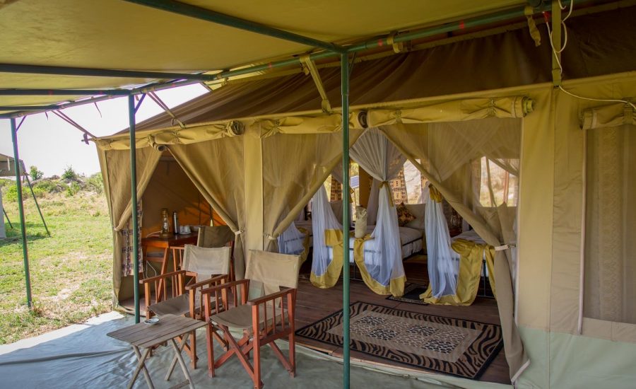 Untamed Migration Camp Kogatende — image 2