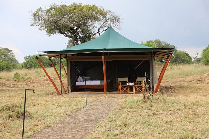 Untamed Migration Camp Ndutu — image 3