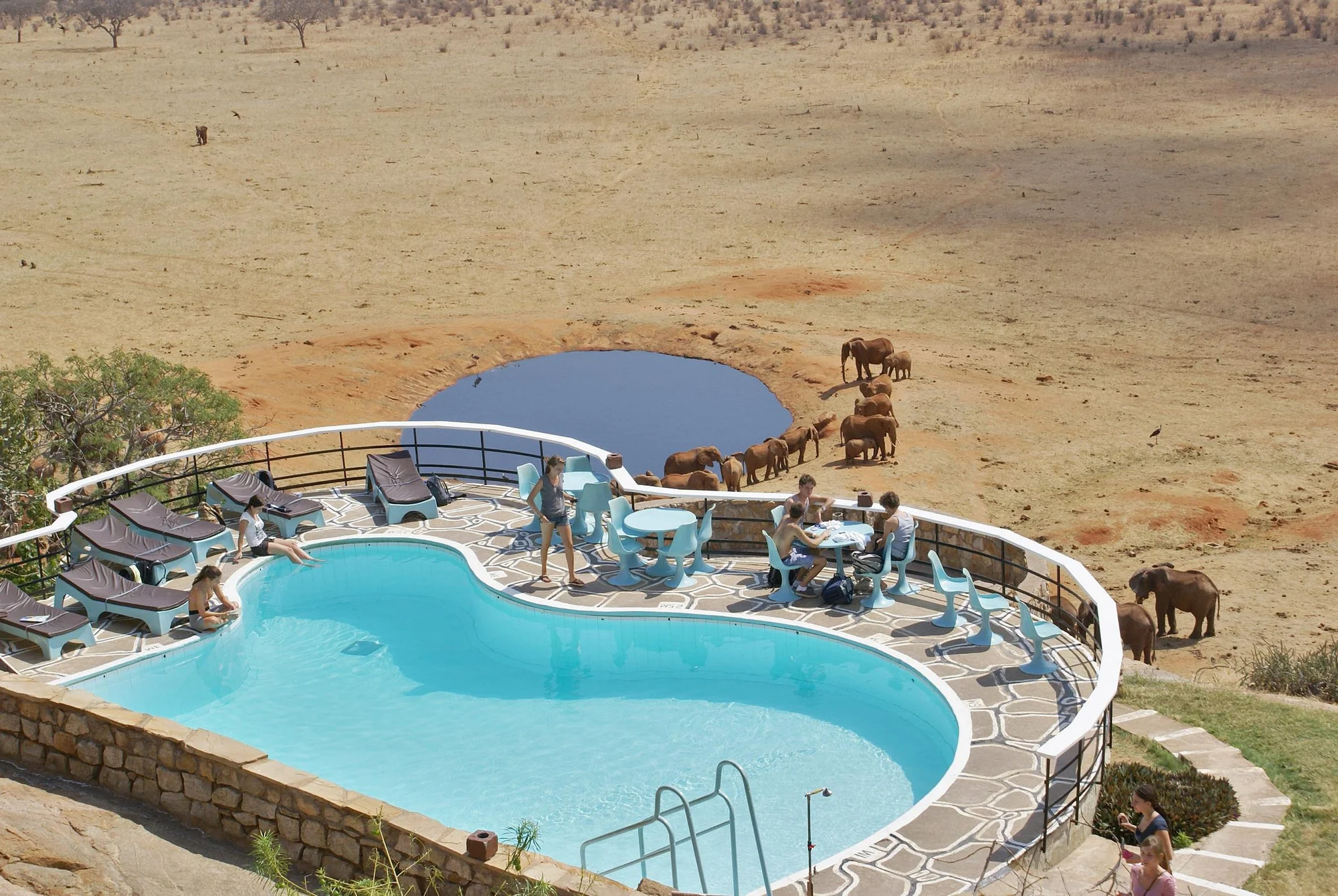 Voi Safari Lodge — image 4