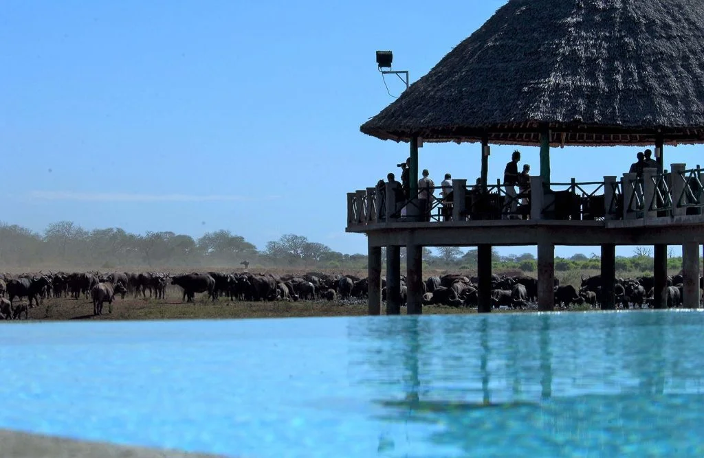 Voi Wildlife Lodge — image 2
