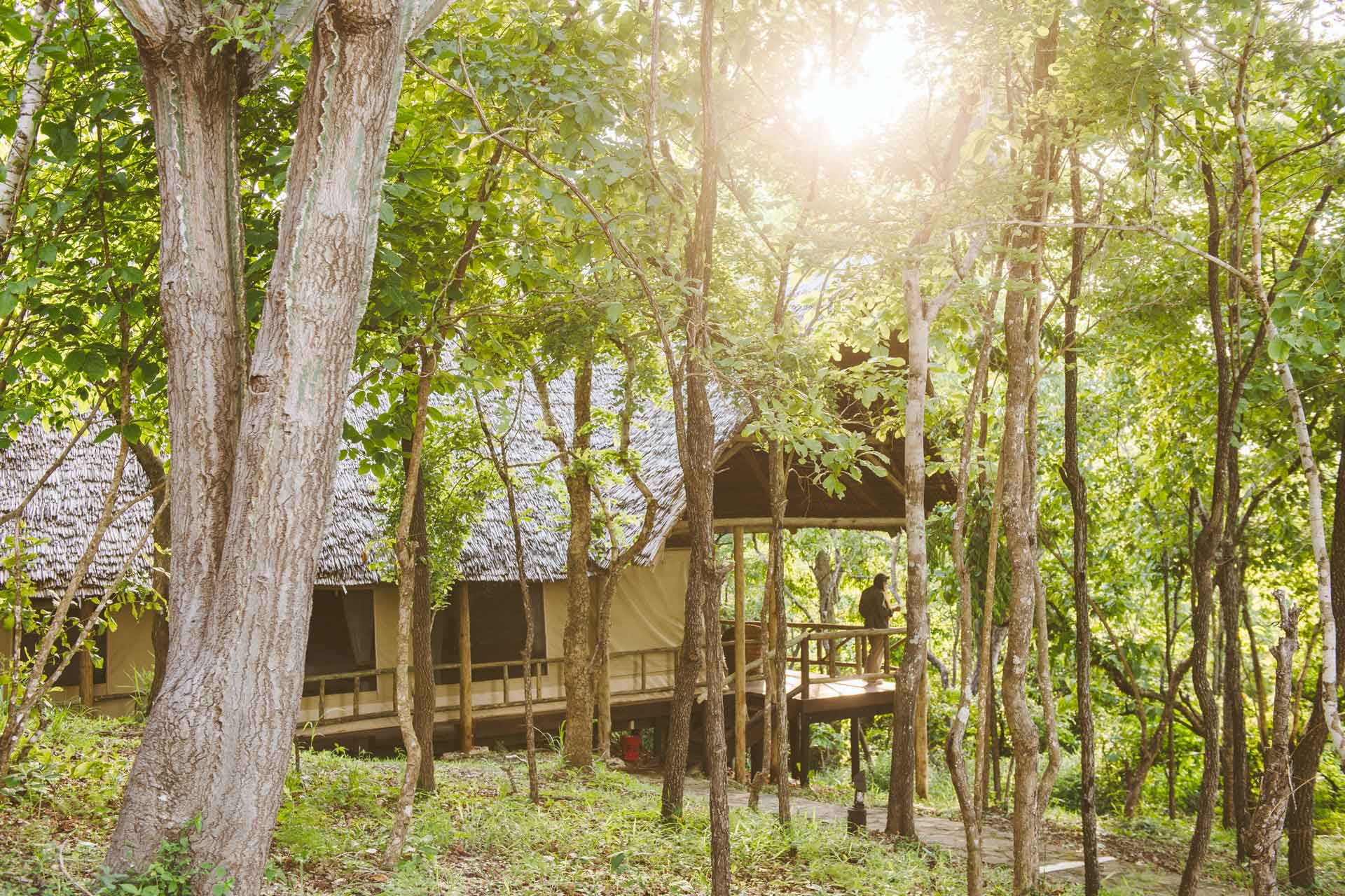 Vuma Hills Tented Camp — Mikumi National Park
