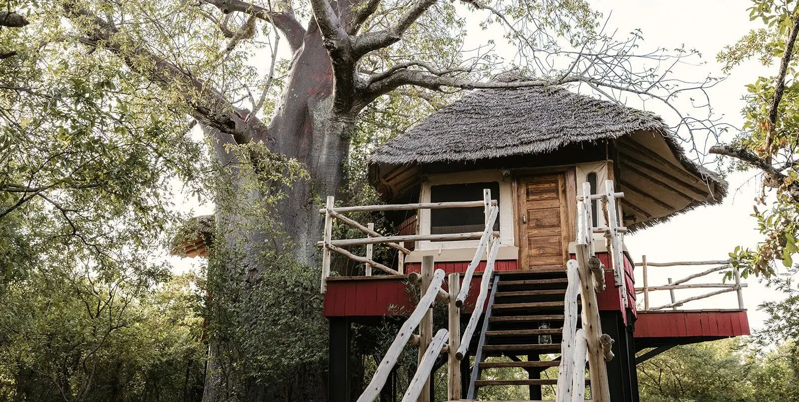 Wellworth Tarangire Kuro Treetops Lodge