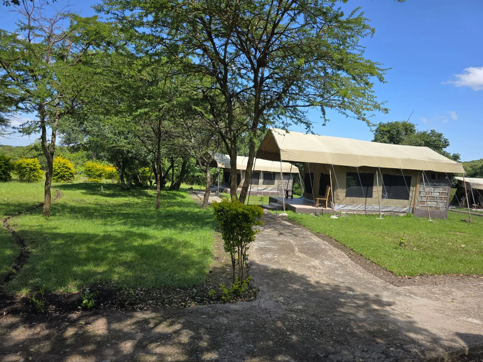 Wild Nest Mara Camp — image 2