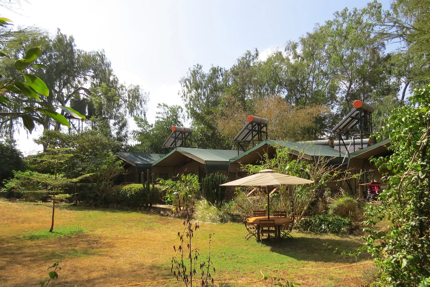 Wildebeest Eco Camp