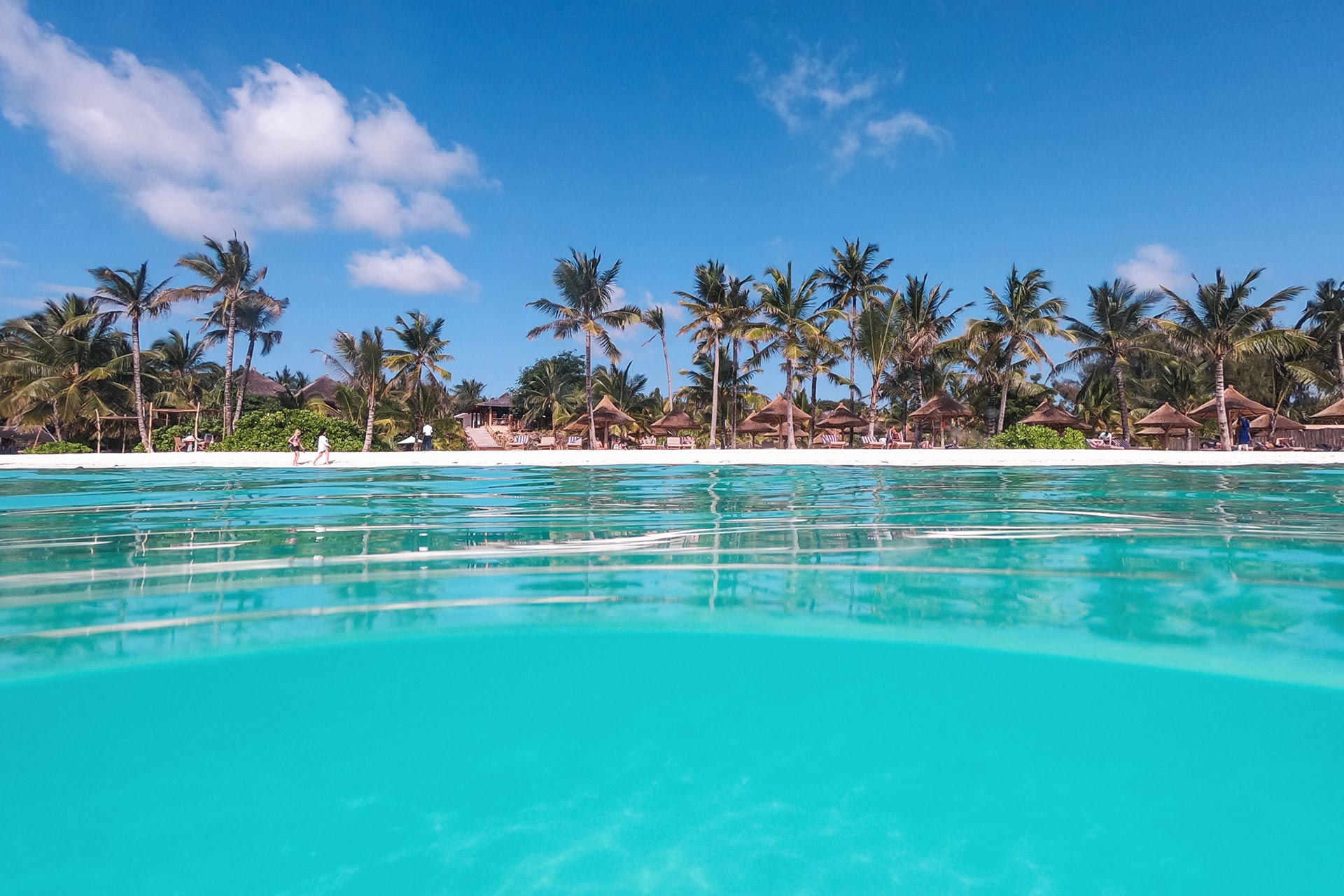 Zuri Zanzibar — image 3