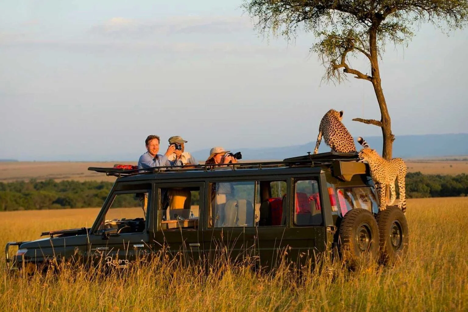 The Game Drive, Decoded: How Safari Days Work in Tanzania