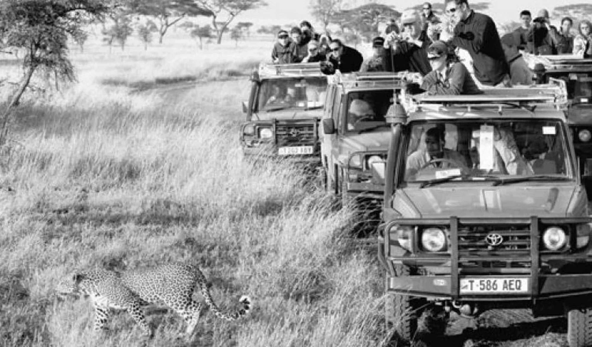 Choosing a Tanzania Tour Operator Without Overpaying