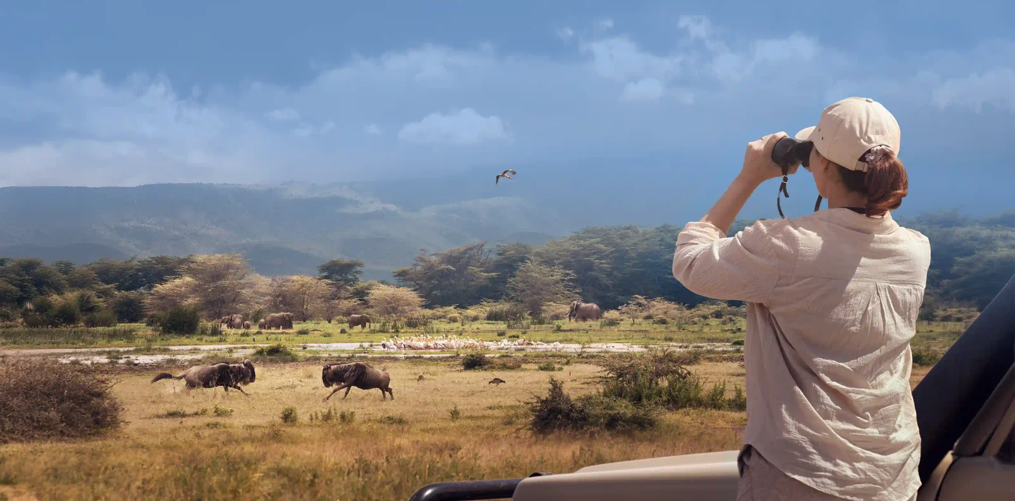 What a Tanzania Safari Really Costs, Line by Line