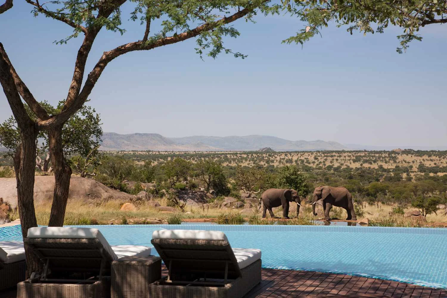 Lodge, Tented Camp or Mobile? Safari Stays in Tanzania, Explained