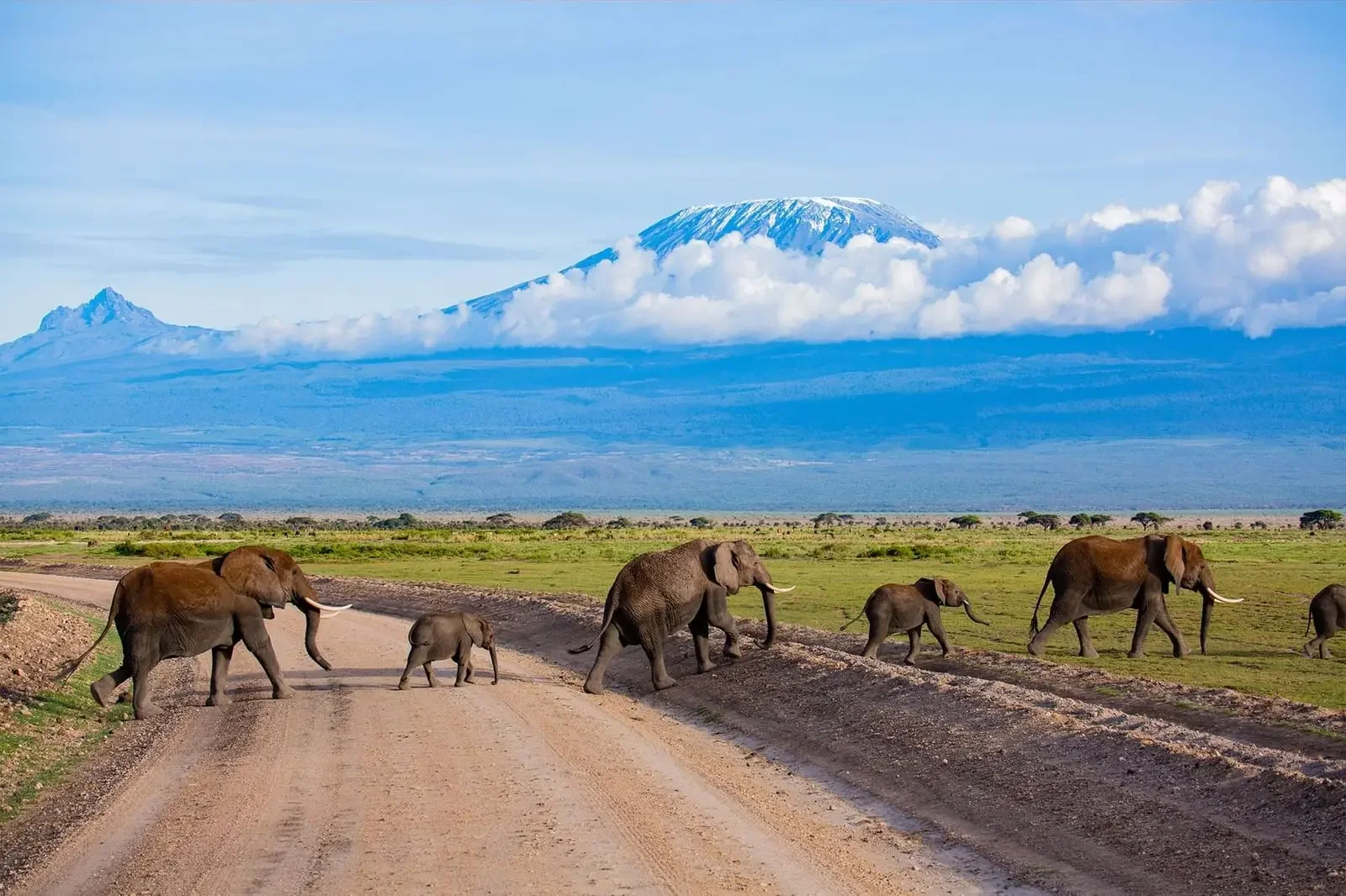 Safari di 4 Giorni tra Lake Naivasha e Amboseli
