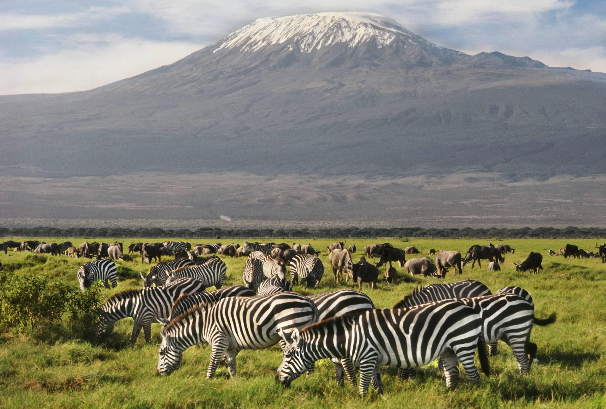Safari di Lusso di 5 Giorni Amboseli, Tsavo West e Tsavo East