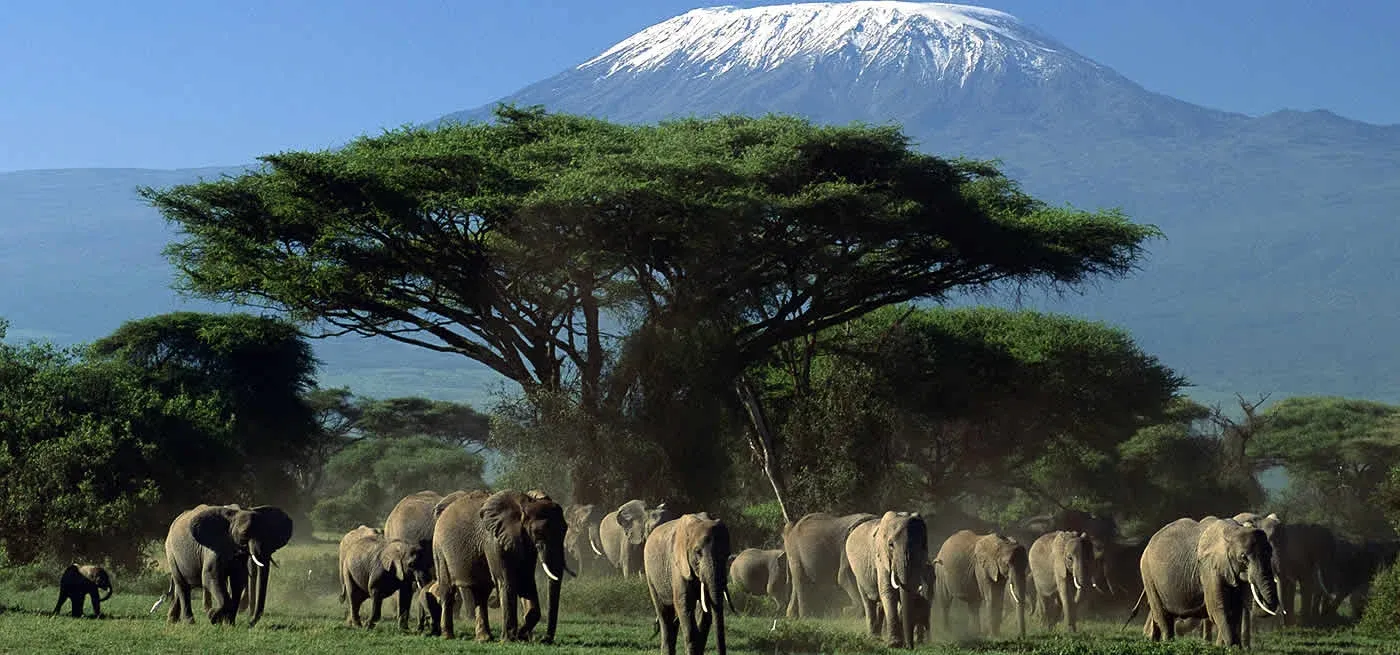 7-tägige Safari durch Masai Mara, Nakuru, Naivasha & Amboseli