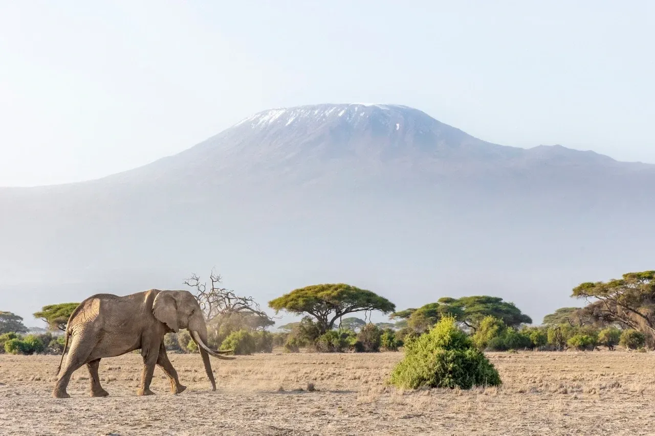 5-Tage-Safari: Amboseli & Lake Naivasha