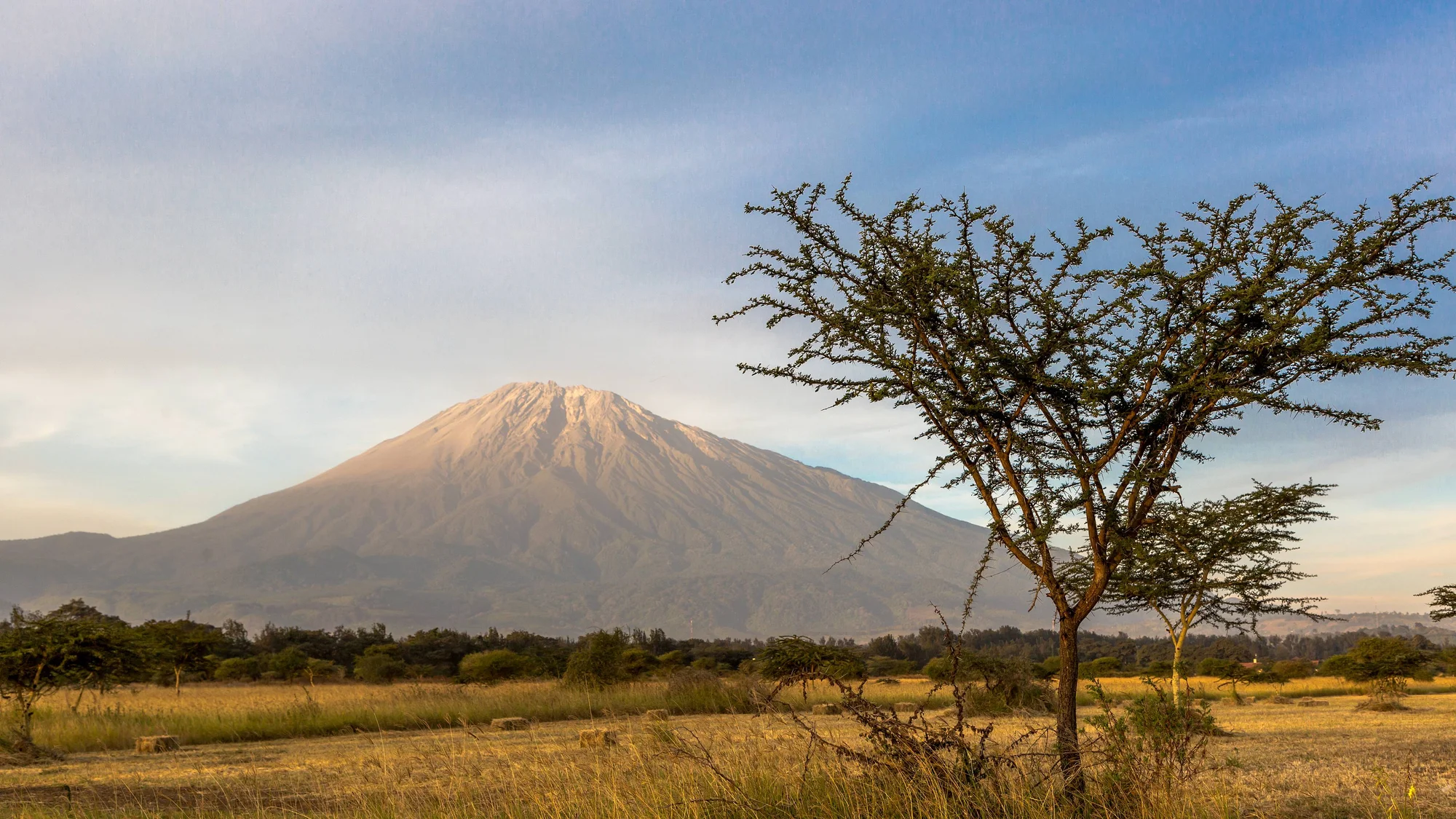 Arusha — 4