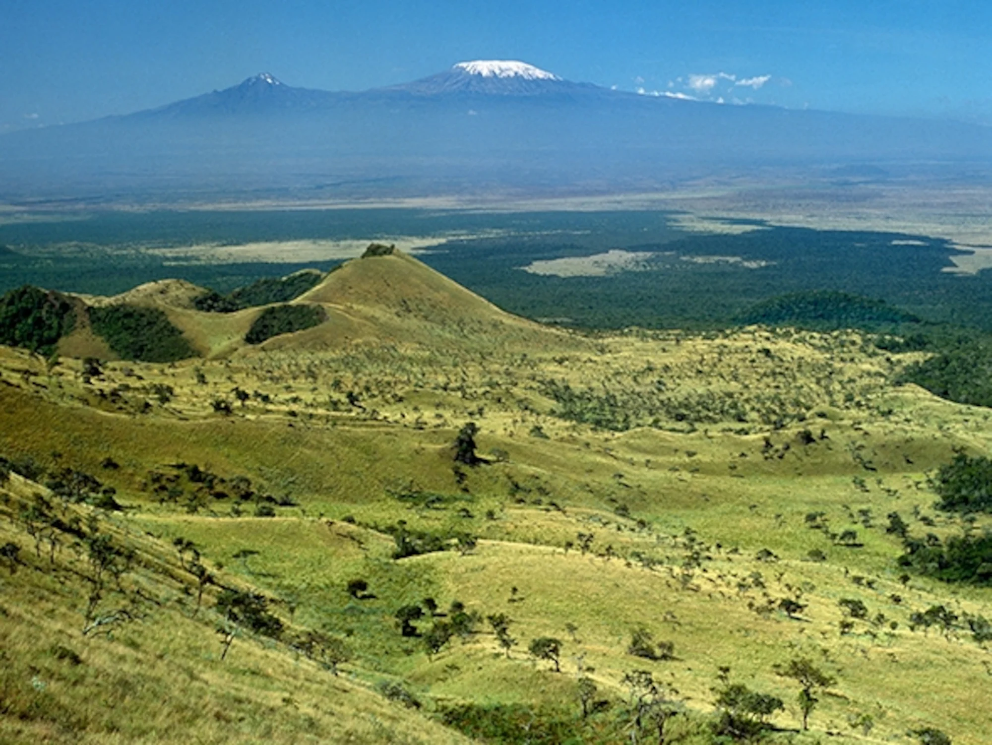 Safari ultra-luxe de 12 jours : la beauté du Kenya et de la Tanzania