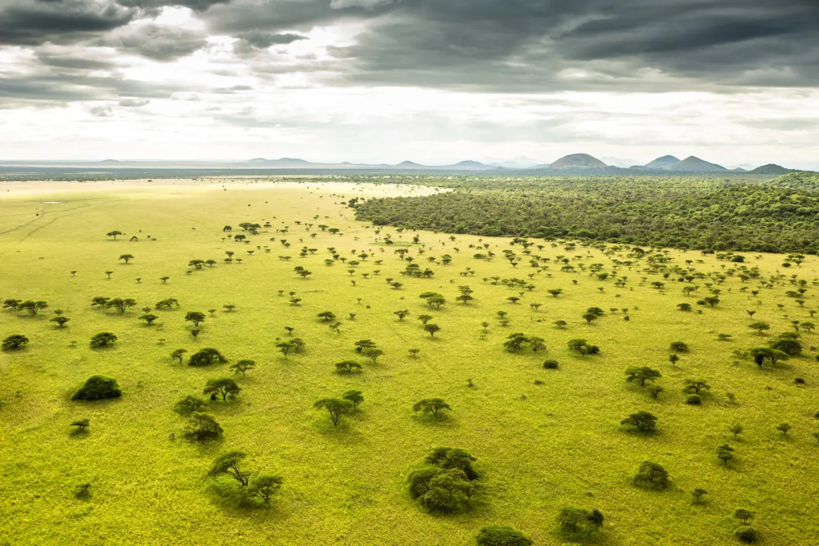 3-Day Chyulu Hills Fly-In Safari