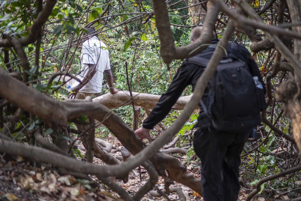 Gombe Stream National Park — 3