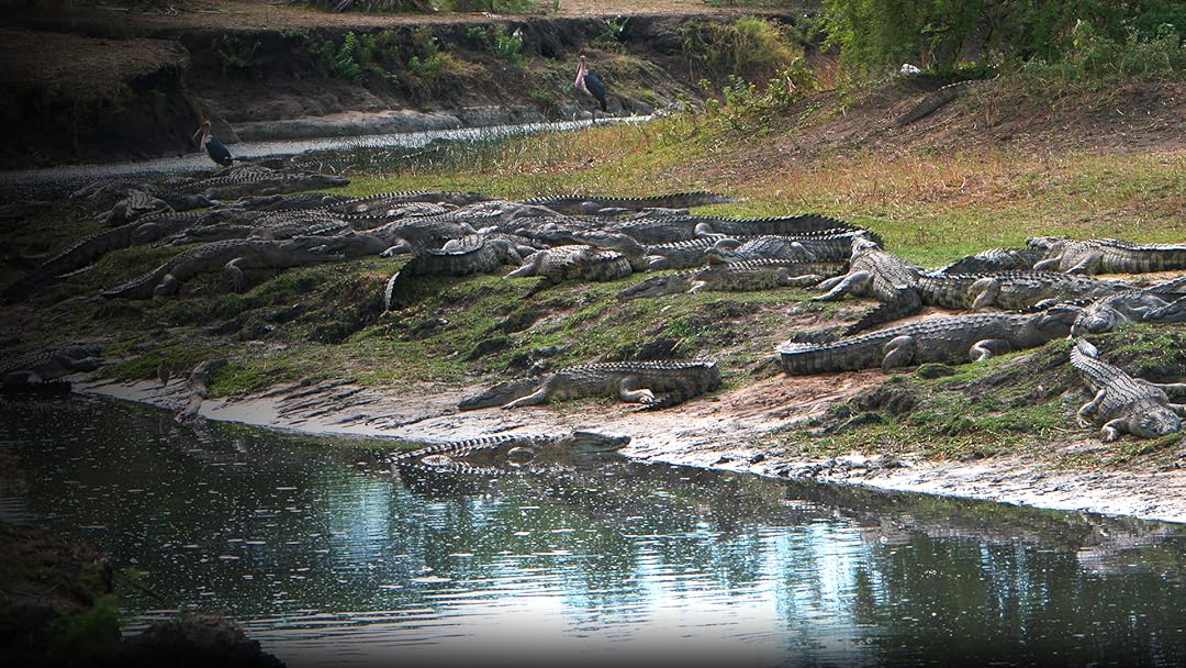 Katavi National Park