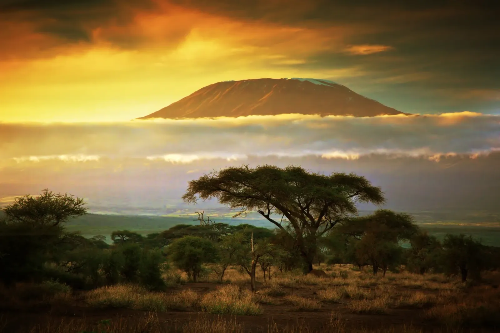 13 Tage Kilimanjaro Machame-Route + Safari mit Krater-Finale