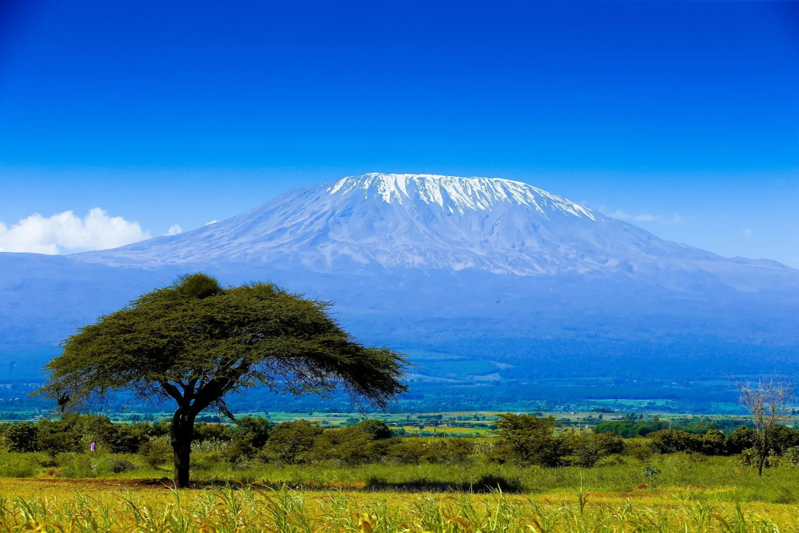 18-tägiger Kilimanjaro (Lemosho), Safari & Zanzibar