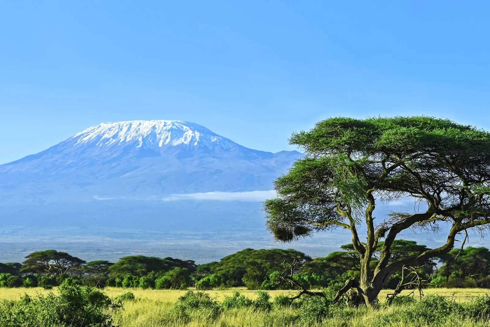 14-tägige Kilimanjaro-Besteigung Lemosho + Safari (Krater-Finale)