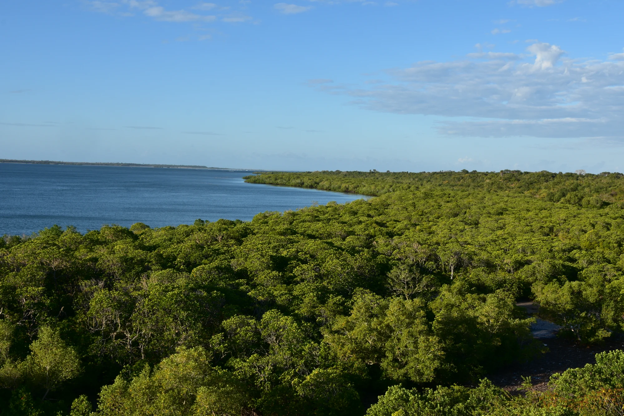 Kilwa Kisiwani